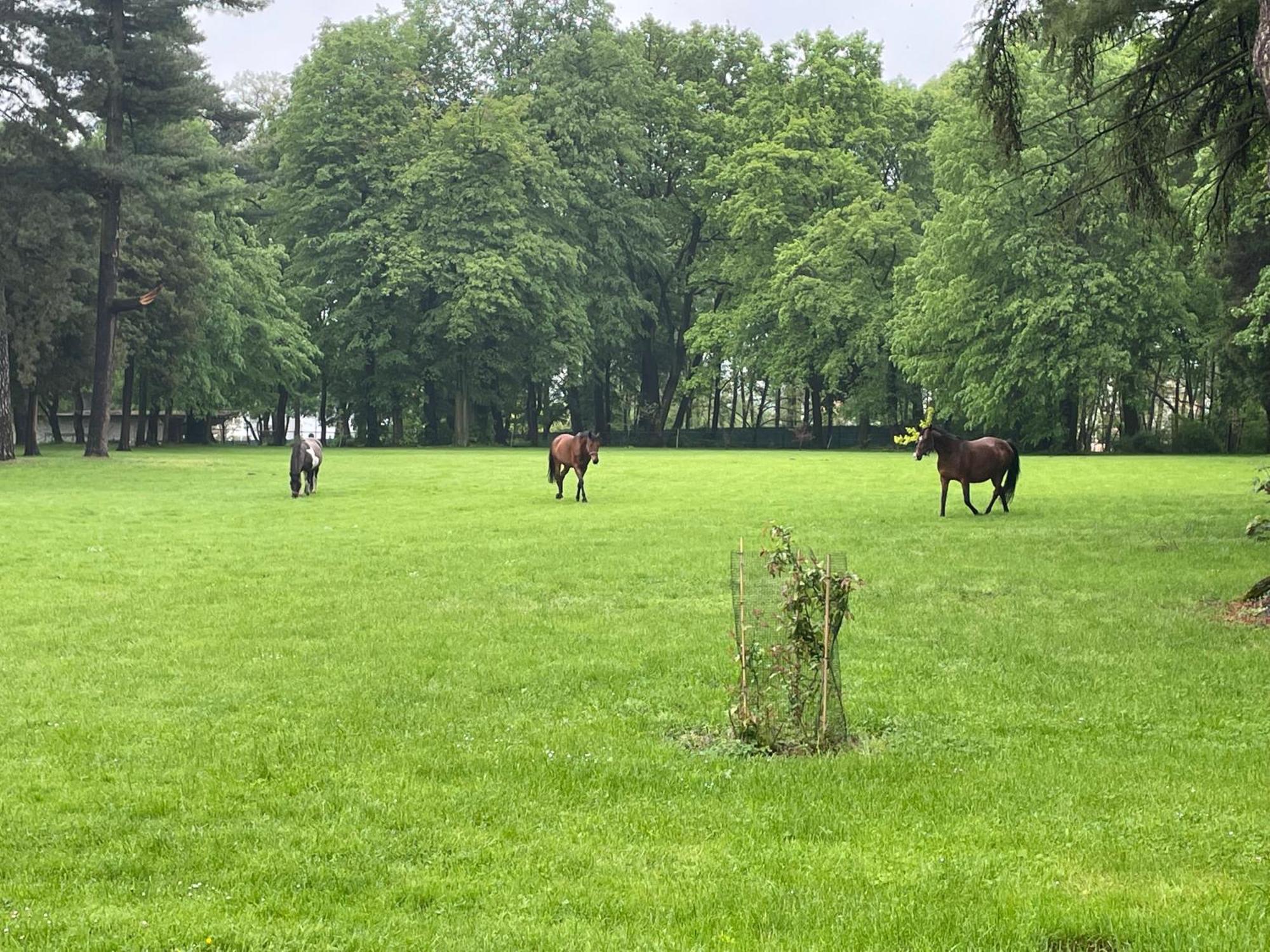 Palac Zbylitowskich Zbylitowska Gora المظهر الخارجي الصورة